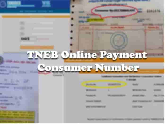 TNEB Online Bill Payment Status 2023 Consumer Number