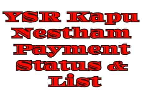 (Amount Status) YSR Kapu Nestham Payment Status Check 2023| Eligible & InEligible List gramawardsachivalayam.ap.gov.in