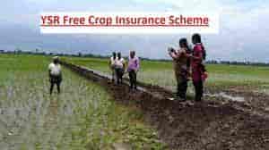 (Farmer List) YSR Free Crop Insurance Beneficiary List 2022-23| Payment Status Check