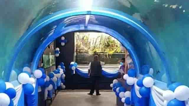 Bengaluru Kengeri Sea Tunnel Aquarium Show 2023 Tickets Booking, Ticket Price & Entry Fee