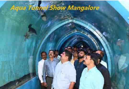 Last Date! Aqua Tunnel Show Mangalore Price 2023, Ticket Booking, Venue Location & Timing